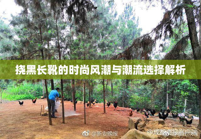 挠黑长靴的时尚风潮与潮流选择解析