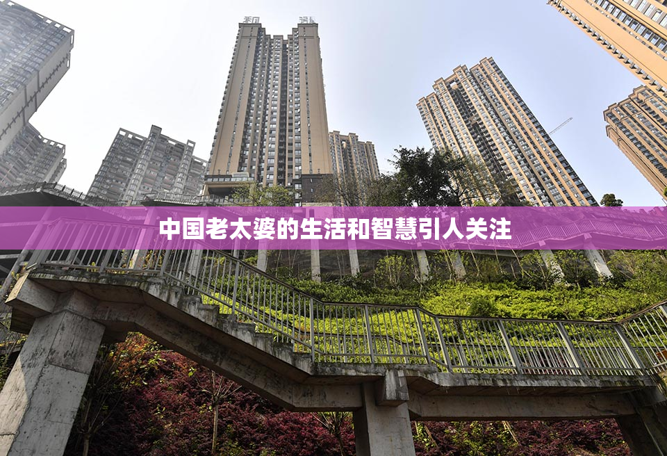 中国老太婆的生活和智慧引人关注