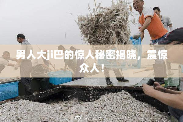 男人大ji巴的惊人秘密揭晓，震惊众人！