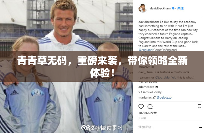 青青草无码，重磅来袭，带你领略全新体验！