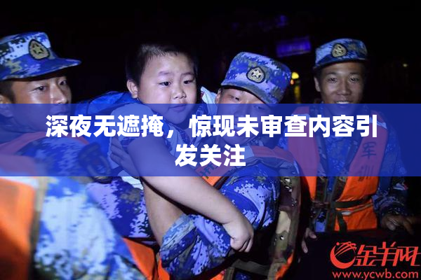 深夜无遮掩，惊现未审查内容引发关注