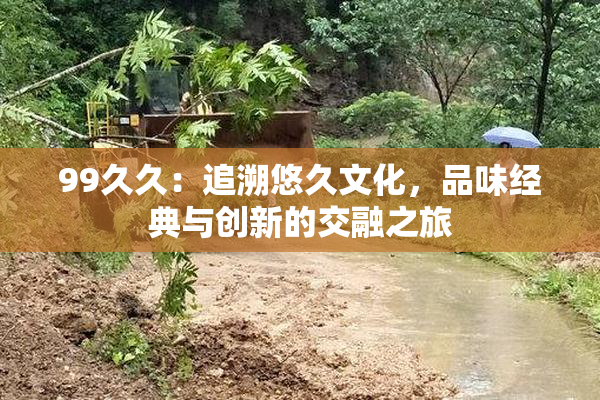 99久久：追溯悠久文化，品味经典与创新的交融之旅