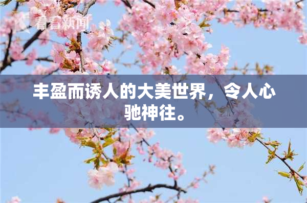 丰盈而诱人的大美世界，令人心驰神往。