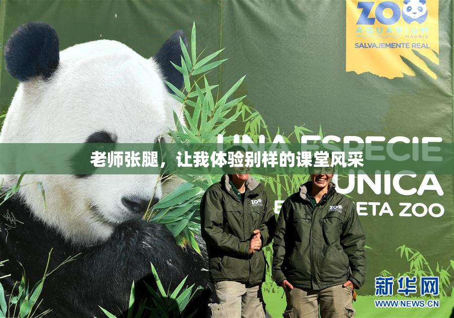 老师张腿，让我体验别样的课堂风采