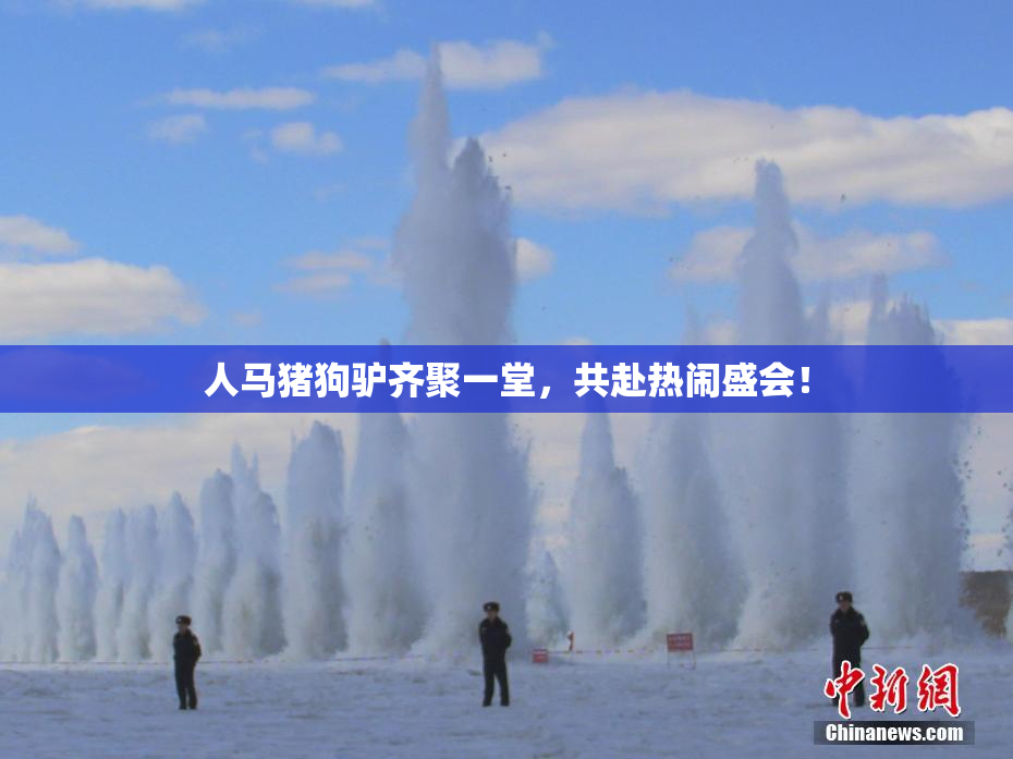 人马猪狗驴齐聚一堂，共赴热闹盛会！