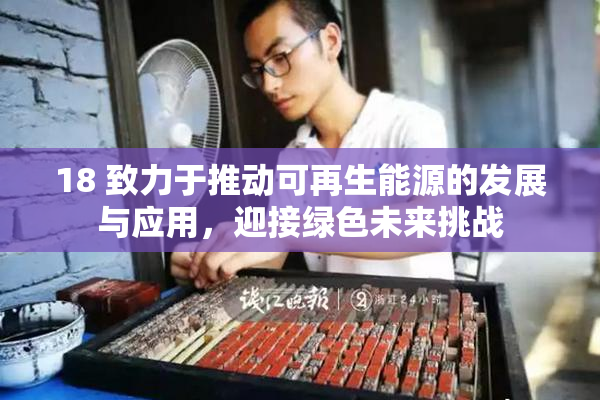 18 致力于推动可再生能源的发展与应用，迎接绿色未来挑战