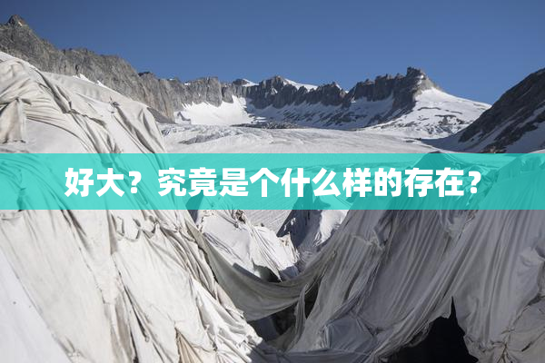 好大？究竟是个什么样的存在？