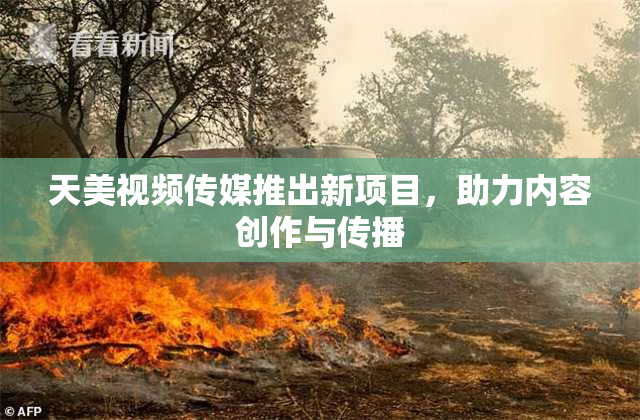 天美视频传媒推出新项目，助力内容创作与传播