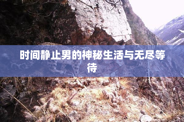 时间静止男的神秘生活与无尽等待