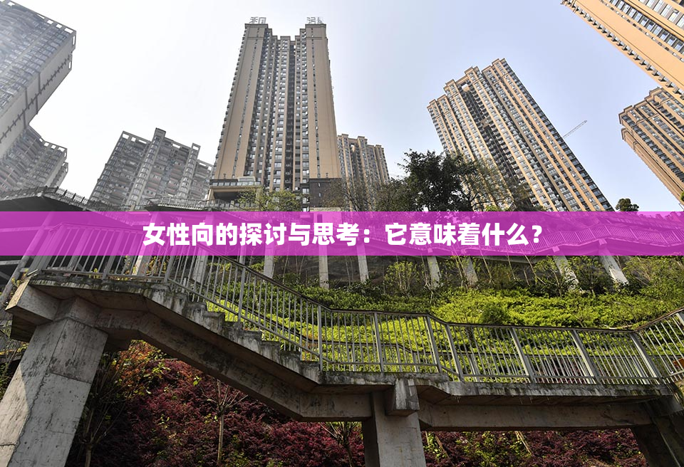 女性向的探讨与思考：它意味着什么？