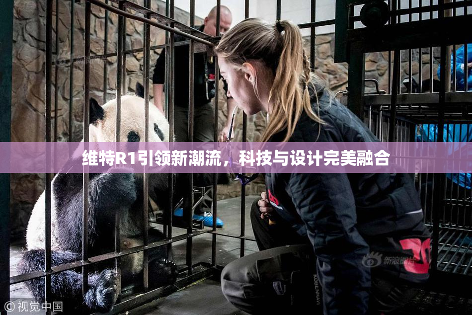 维特R1引领新潮流，科技与设计完美融合