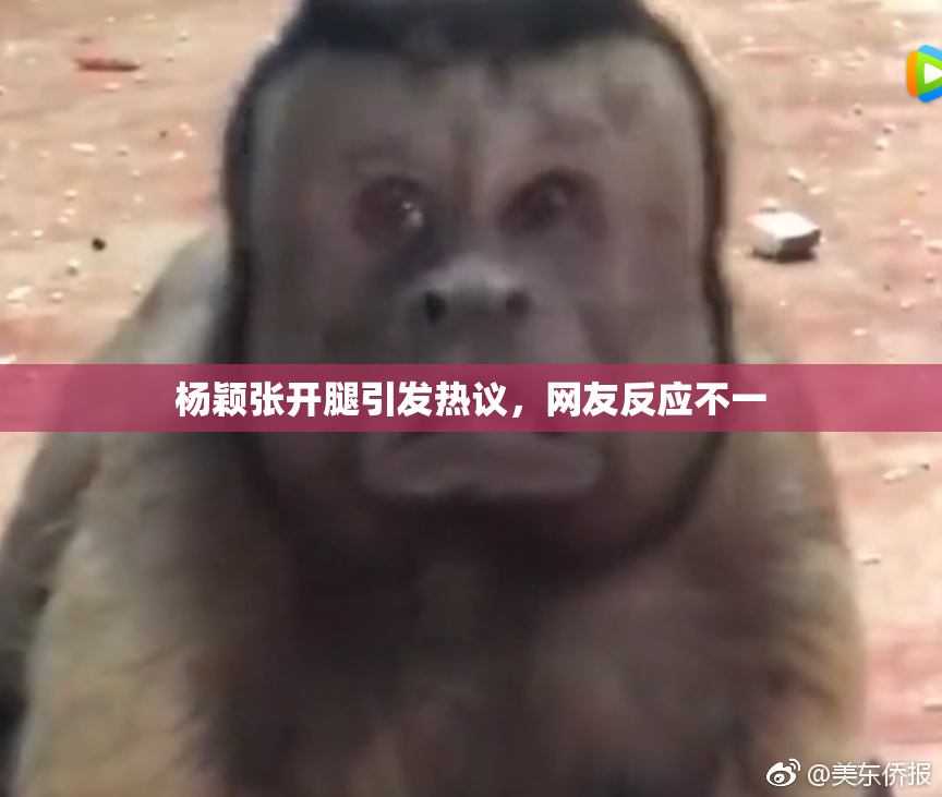 杨颖张开腿引发热议，网友反应不一