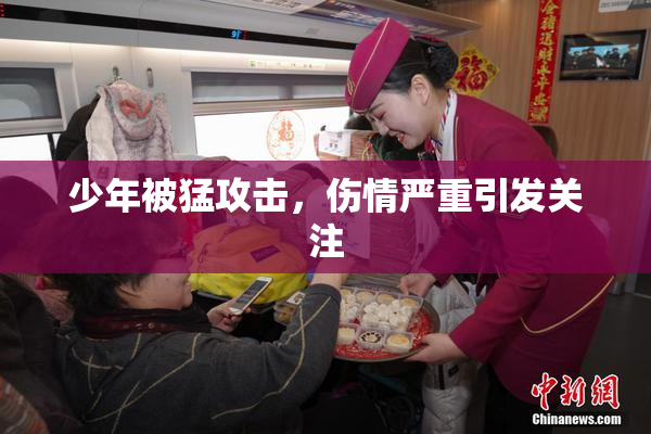 少年被猛攻击，伤情严重引发关注