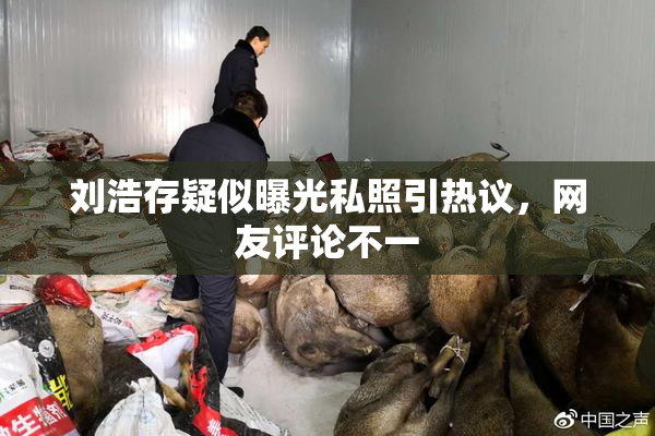 刘浩存疑似曝光私照引热议，网友评论不一