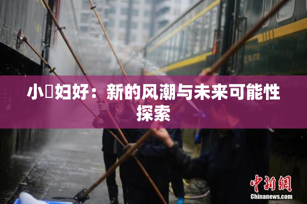 小婬妇好：新的风潮与未来可能性探索