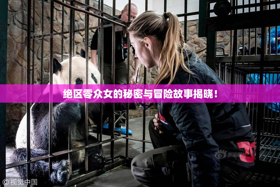 绝区零众女的秘密与冒险故事揭晓！