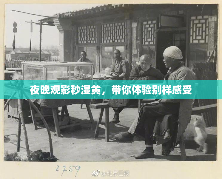 夜晚观影秒湿黄，带你体验别样感受
