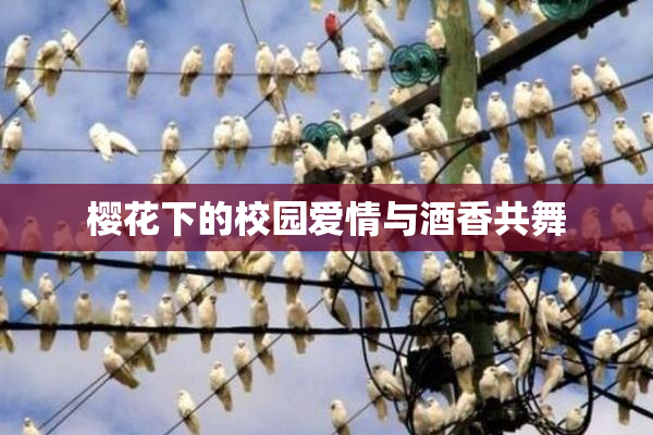 樱花下的校园爱情与酒香共舞