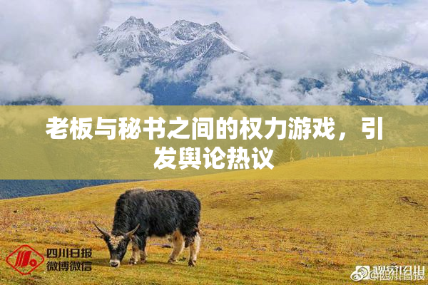 老板与秘书之间的权力游戏，引发舆论热议