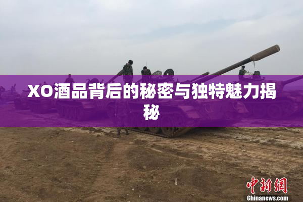 XO酒品背后的秘密与独特魅力揭秘