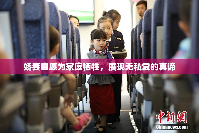 娇妻自愿为家庭牺牲，展现无私爱的真谛