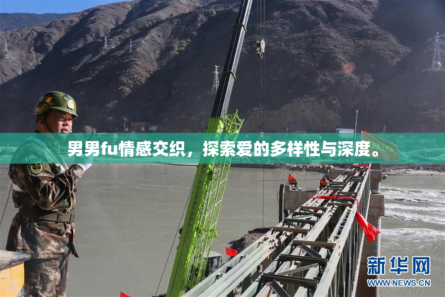 男男fu情感交织，探索爱的多样性与深度。