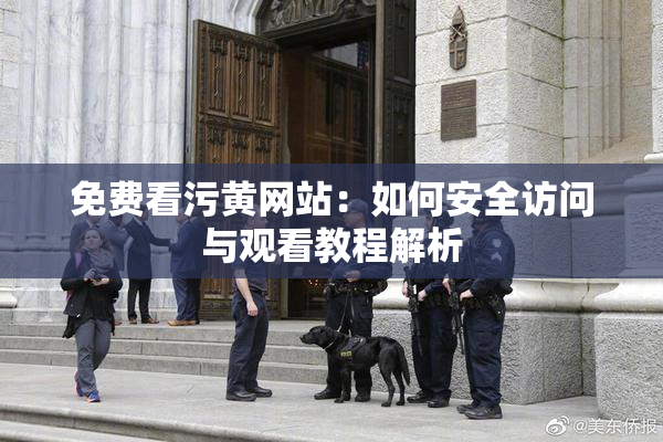 免费看污黄网站：如何安全访问与观看教程解析