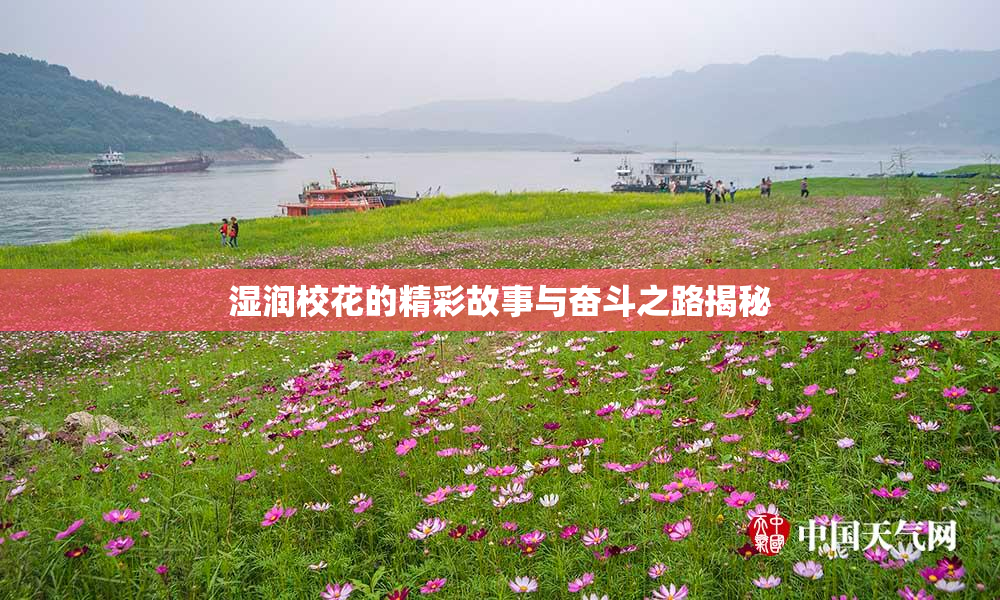 湿润校花的精彩故事与奋斗之路揭秘