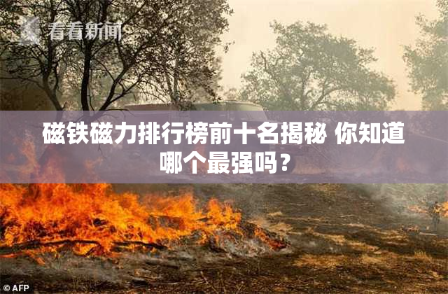 磁铁磁力排行榜前十名揭秘 你知道哪个最强吗？