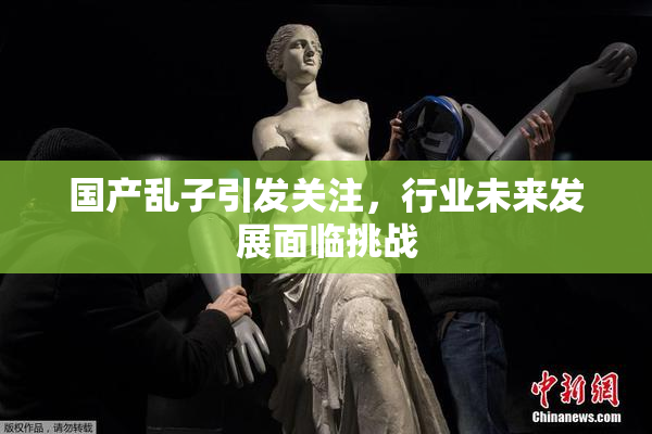 国产乱子引发关注，行业未来发展面临挑战
