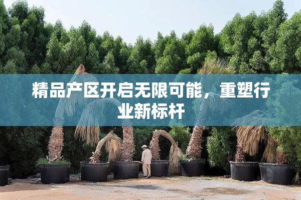 精品产区开启无限可能，重塑行业新标杆