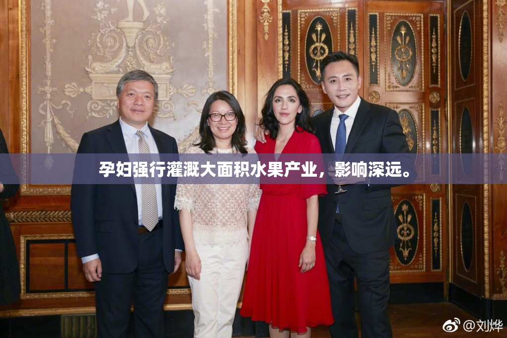 孕妇强行灌溉大面积水果产业，影响深远。
