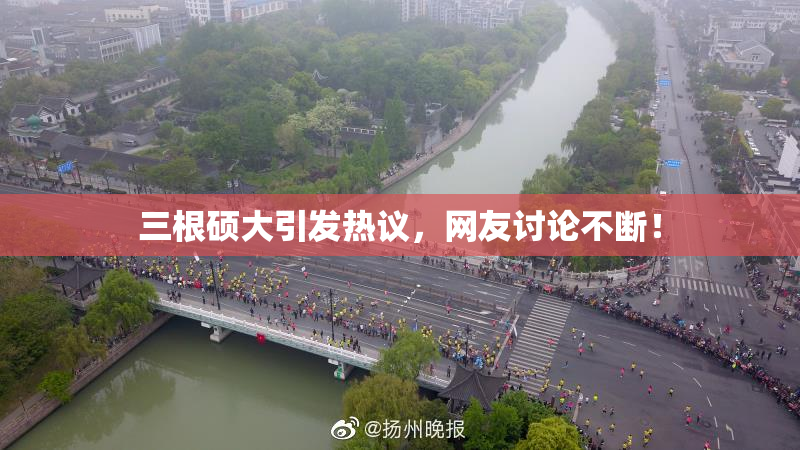 三根硕大引发热议，网友讨论不断！
