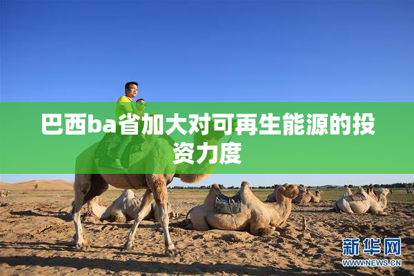 巴西ba省加大对可再生能源的投资力度