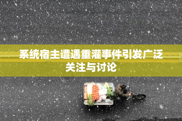 系统宿主遭遇重灌事件引发广泛关注与讨论
