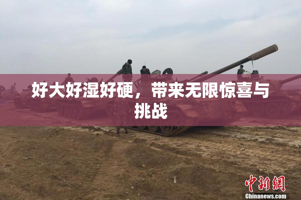 好大好湿好硬，带来无限惊喜与挑战