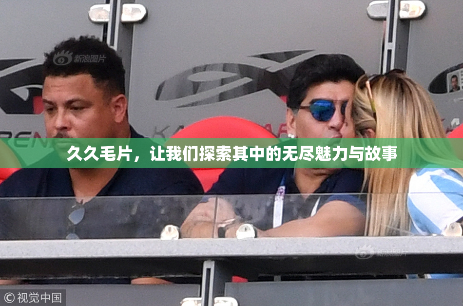 久久毛片，让我们探索其中的无尽魅力与故事