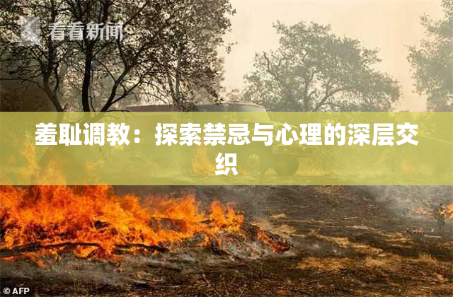 羞耻调教：探索禁忌与心理的深层交织