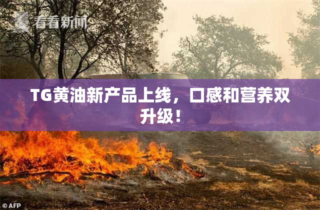TG黄油新产品上线，口感和营养双升级！