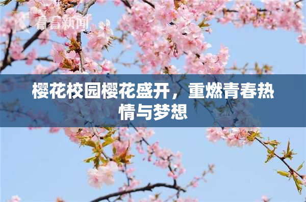 樱花校园樱花盛开，重燃青春热情与梦想