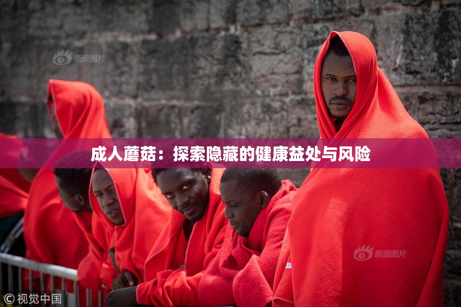 成人蘑菇：探索隐藏的健康益处与风险