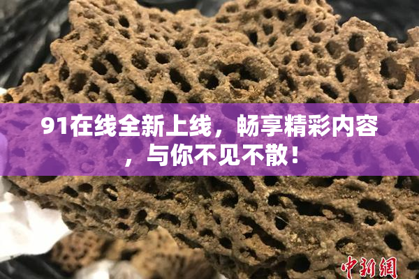 91在线全新上线，畅享精彩内容，与你不见不散！