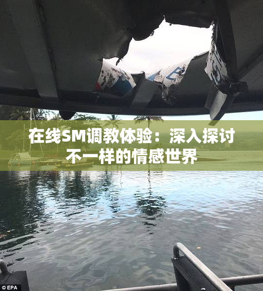 在线SM调教体验：深入探讨不一样的情感世界