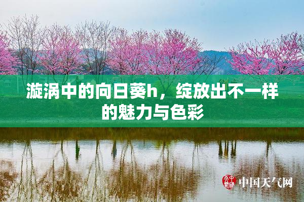 漩涡中的向日葵h，绽放出不一样的魅力与色彩