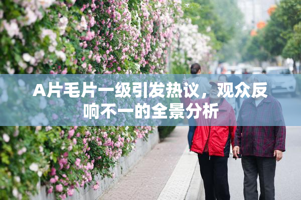 A片毛片一级引发热议，观众反响不一的全景分析