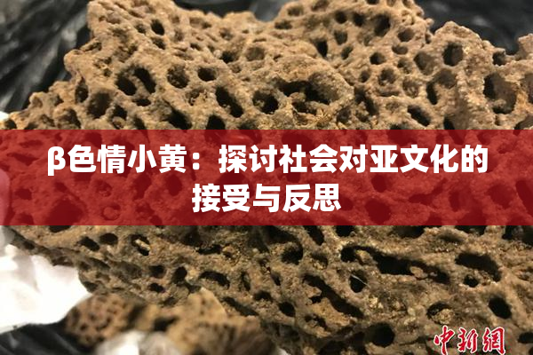 β色情小黄：探讨社会对亚文化的接受与反思