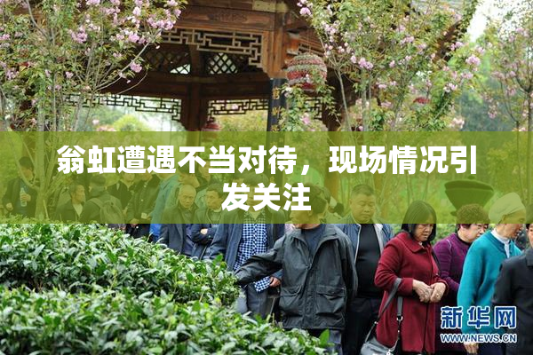 翁虹遭遇不当对待，现场情况引发关注