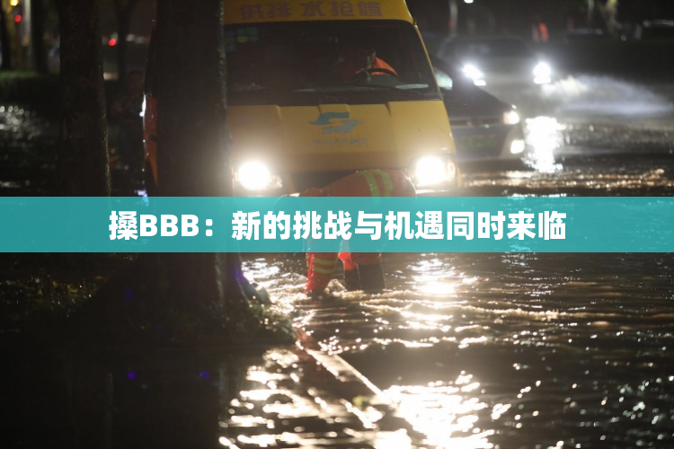 搡BBB：新的挑战与机遇同时来临