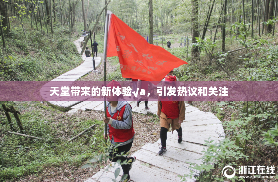天堂带来的新体验√a，引发热议和关注