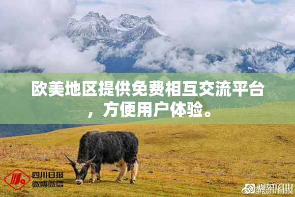 欧美地区提供免费相互交流平台，方便用户体验。